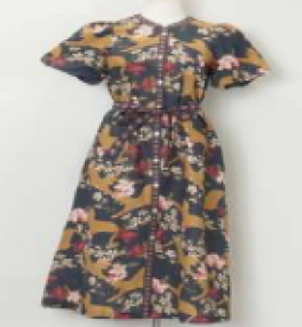 Navy Floral Print Short Slv Button Front Dress